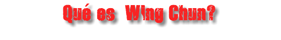 Qué es Wing Chun?